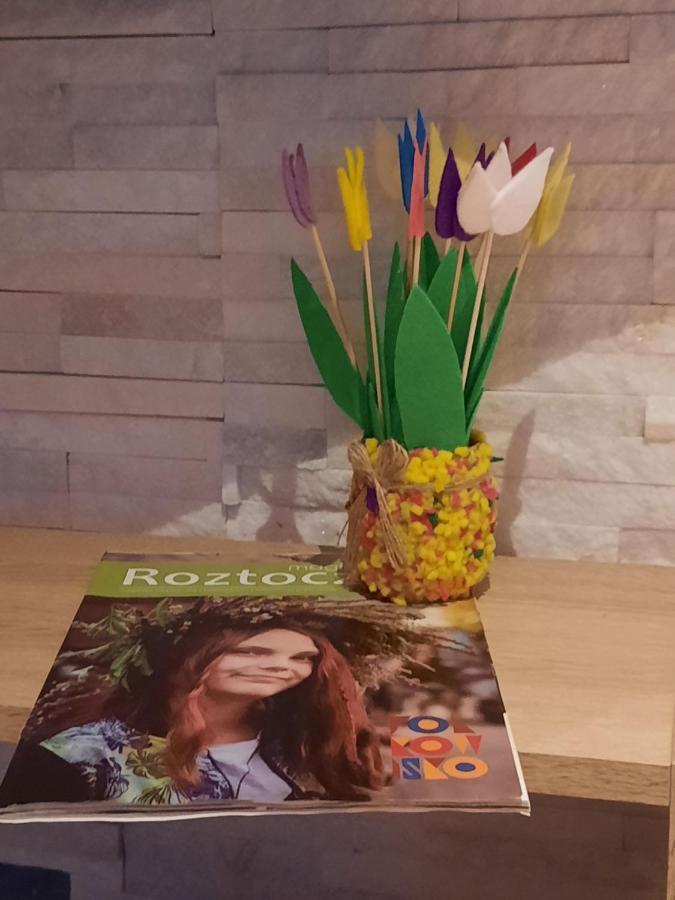 Apartament Jak W Domu Zamość 외부 사진