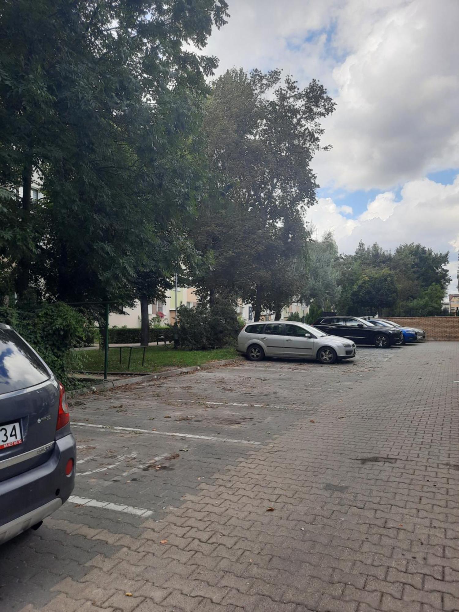 Apartament Jak W Domu Zamość 외부 사진
