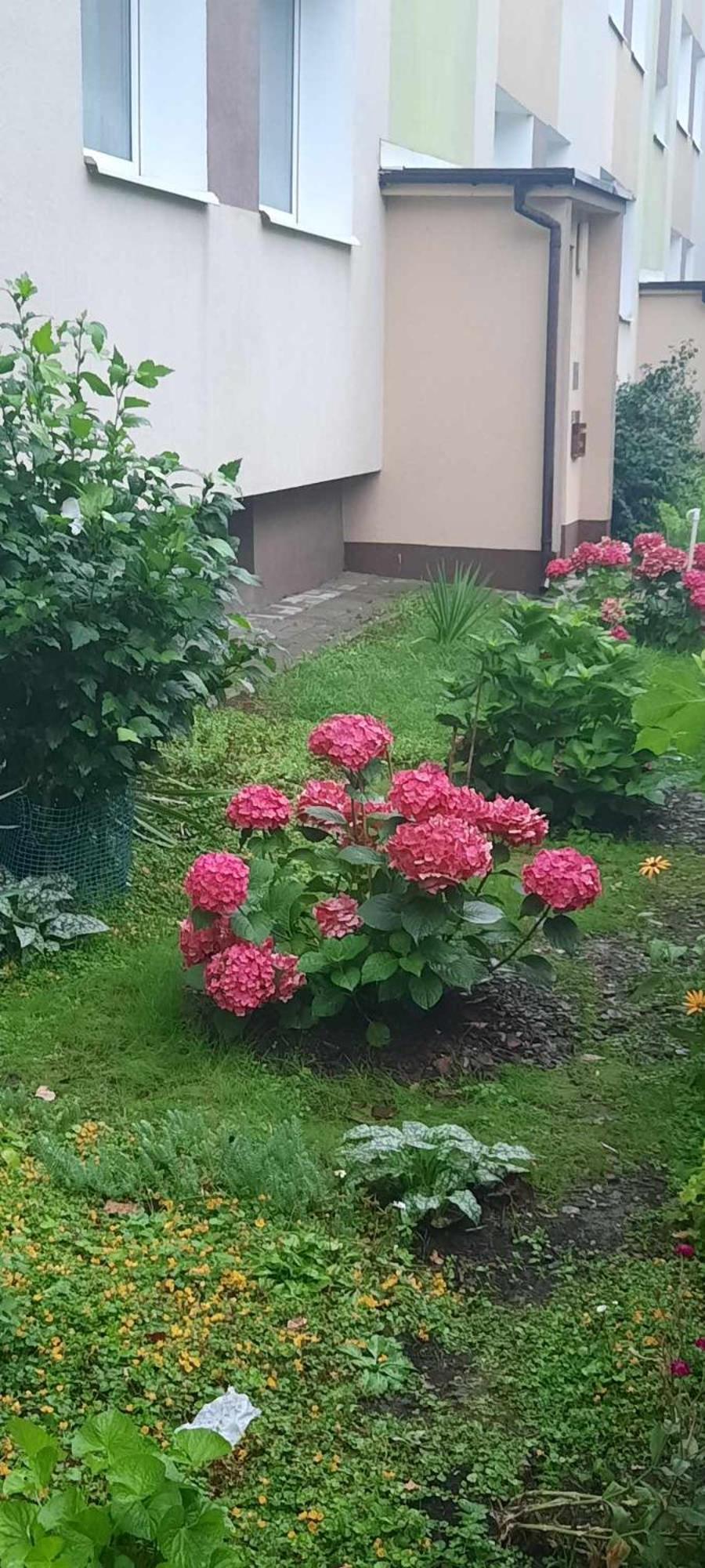 Apartament Jak W Domu Zamość 외부 사진
